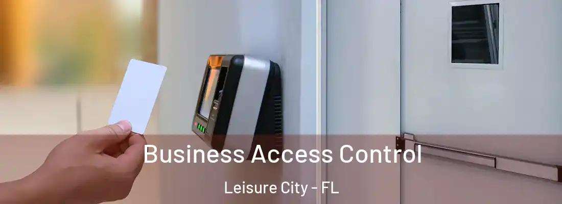 Business Access Control Leisure City - FL