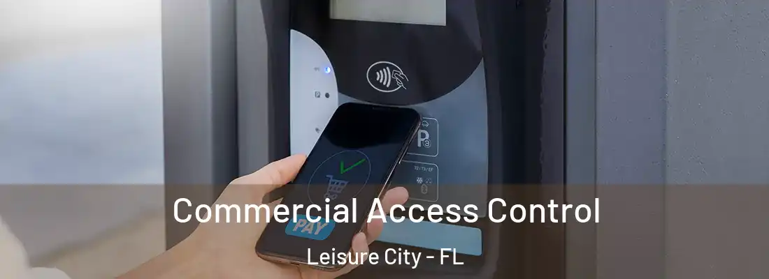 Commercial Access Control Leisure City - FL