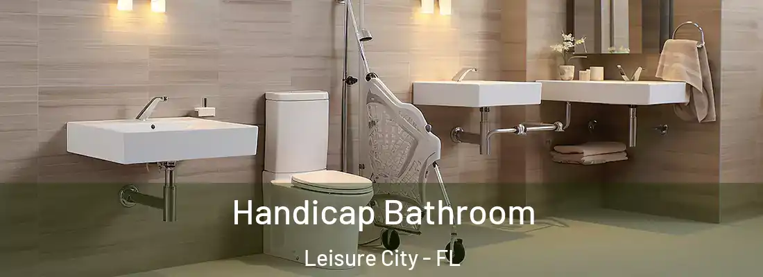 Handicap Bathroom Leisure City - FL