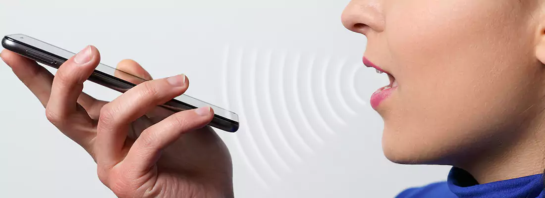 Residential and Commercial Voice Recognition Access Solutions in Leisure City, FL