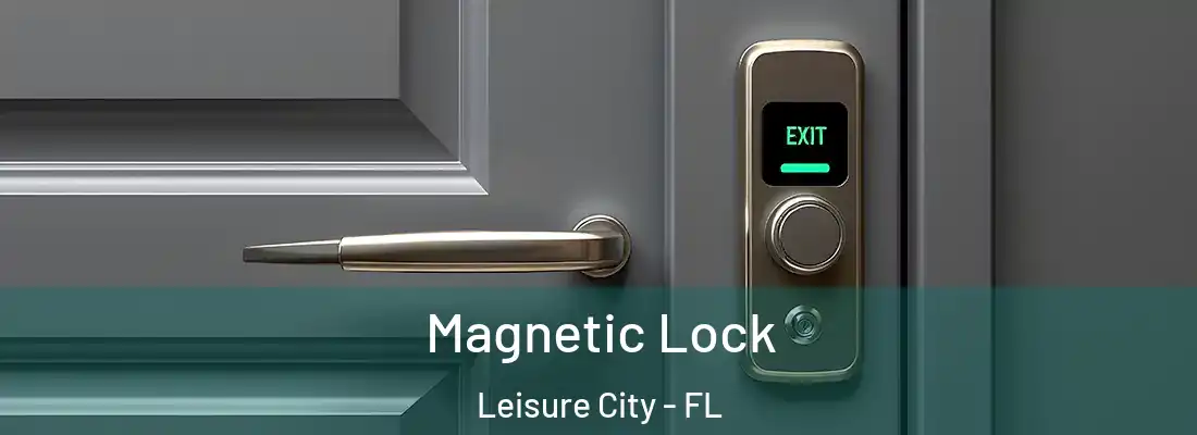 Magnetic Lock Leisure City - FL