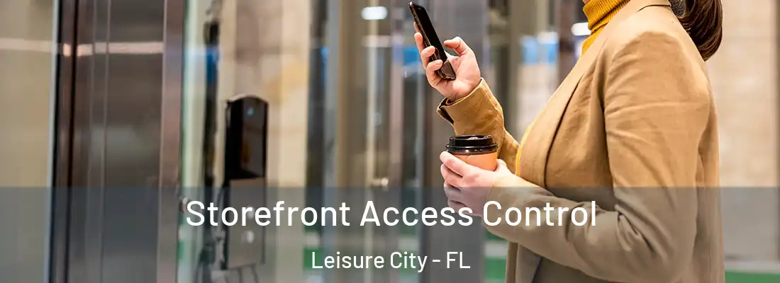 Storefront Access Control Leisure City - FL